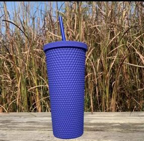 Outdoor Plastic Double Frosted Mug With Straw (Color: Blue)